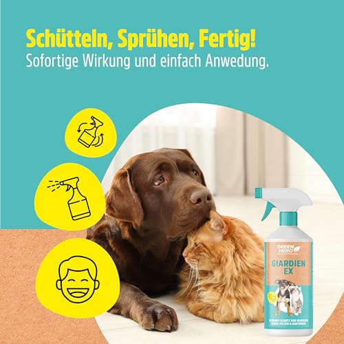 Green Hero Giardien EX Desinfektionsmittel Spray für Hund & Katze 500ml | Hochwirksam gegen Giardien, Bakterien, Viren & Pilzen | Dermatologisch getestet zur Desinfektion von Tieren und Umgebung