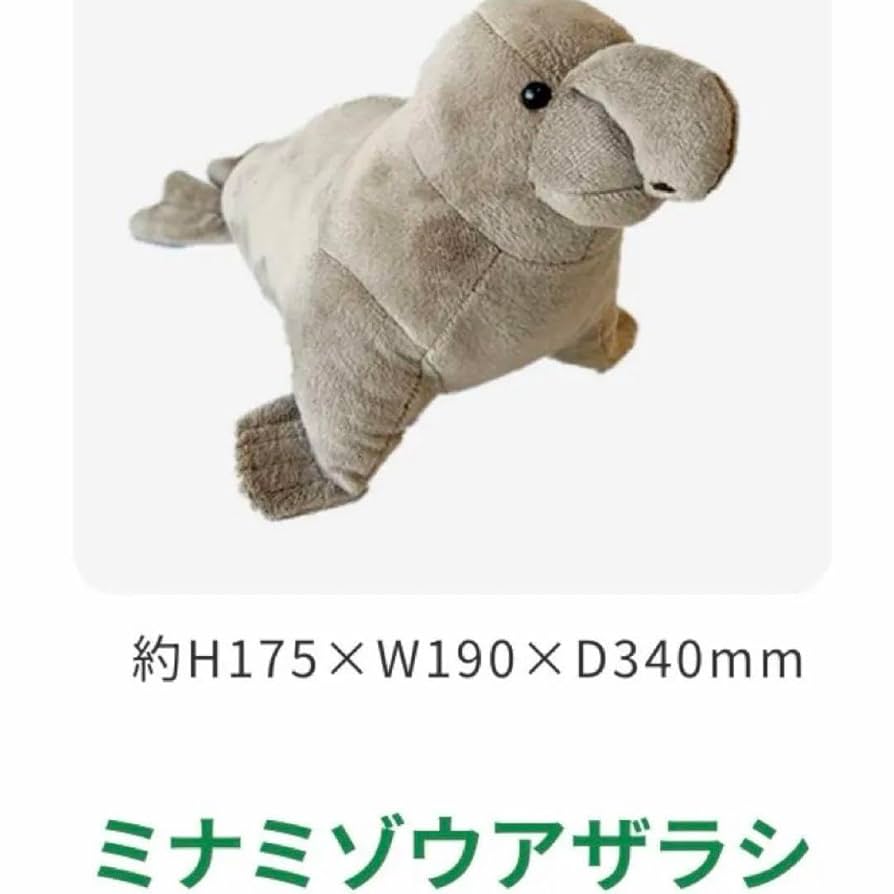 Amazon.co.jp: 大哺乳類展3 ミナミゾウアザラシ ぬいぐるみ タグ