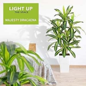 Artificial Dracaena Tree 5FT - Fake Silk Floor Trees with Movable Large Pot Faux Dracaena Tree Silk Tree for Indoor and Outdoor Home Decoration Artificial Dracaena Tree 5FT Fake Silk Floor Trees with Movable Large Pot Faux Dracaena Tree Silk Tree for Indoor and Outdoor Home Decoration