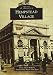 Hempstead Village (Images of America)
