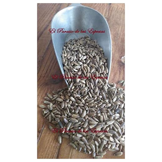 Semillas de Cardo Mariano para infusión 1000 grs - Semillas de Cardo Mariano Natural 100% (Foto Real del Producto)