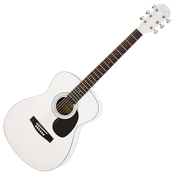 Legend レジェンド　FG-15 N アコースティックギター LEGEND FG-15 N アコースティックギター(レジェンド ビギナー
