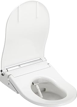 toto 51sTOVEEJUL._UF350,350_QL80_.jpg