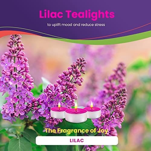 Exquizite Lilac And Jasmine Scented Tea Lights Candles - 30 Pack X 2 - Tealight Candles With 3-4 Hour Burn Time Tea Candles - Tea Light Candles For Holiday, Wedding And Home #TOP1