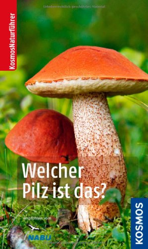 Welcher Pilz ist das?