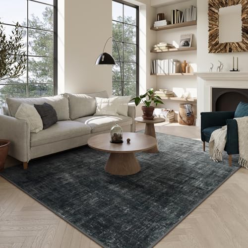 Lahome Washable Area Rugs 5x7,Boho Black and White Rugs for Living Room,Modern Abstract Ombre Soft Non-Slip Low-Pile Throw Carpet for Bedroom Dining Room Office(5'x7',Black and White) 5' x 7