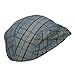 Fashion Plaid Ivy Cap - Brown, Medium