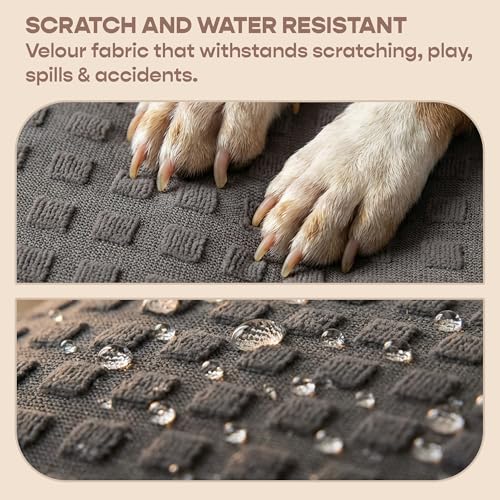Image of SleepyCat Original Dog Bed | Cozy & Durable Shredded Foam Cushioning | Lightweight & Portable | Scratch, Water & Chew Resistant Fabric | Machine Washable Cover | (Grey, Medium, 36 x 26 inches)