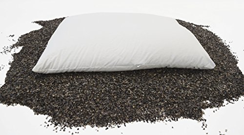 Bean Products WheatDreamz Standard Pillow - 20" x 26" - Cotton Zippered Shell with Organic Buckwheat Hull Filling - Made in USA