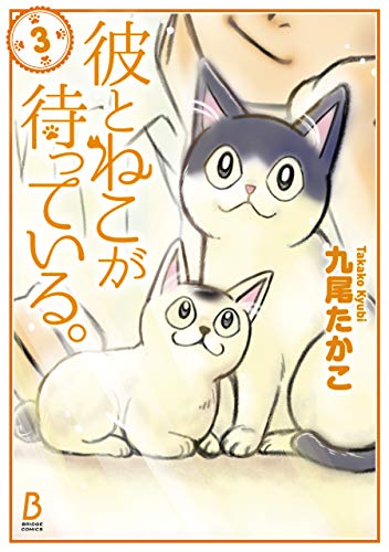 彼とねこが待っている。　3 (ＢＲＩＤＧＥ　ＣＯＭＩＣＳ)