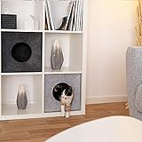 lionto B08BG4HMMZ lato 4