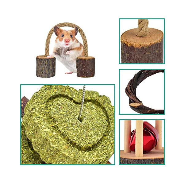 Erkoon new 12 pack hamster chew toys gerbil rat guinea pig chinchilla chew toys accessories, natural wooden dumbbells exercise bell roller teeth care molar toy for rabbits bird rabbits hamster gerbil - image 6
