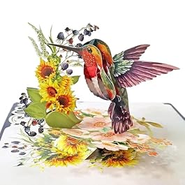 CUTPOPUP Hummingbird Birthday Card Pop Up, Mothers Day Card, Fathers Day Card, Mother’s Day, 3D Popup Greeting Birthday Card for Women, Wife, Grandma (Hummingbird Sunflower)
