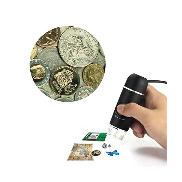 Digitales Mikroskop, 5 MP, USB-Mikroskop, 8 LED-Leuchten, Handmikroskop, 1080P Mikroskop-Kamera mit professionellem… – Bild 5