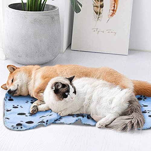 Manta Cobertor Mantinha Pet Soft Pet Para Cachorro Gato Cães Marca Bacon Born (Macho - 01 Unidade)