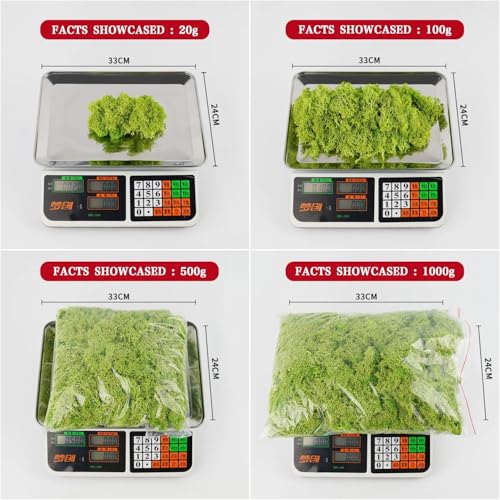 Fausse herbe pour mini paysage bricolage et décoration durable d'intérieur