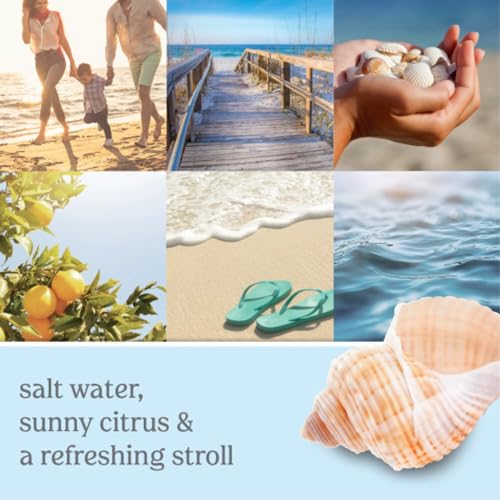 Image of Yankee Candle Mini Jar (1.3 Ounce (Pack of 12), Beach Walk)
