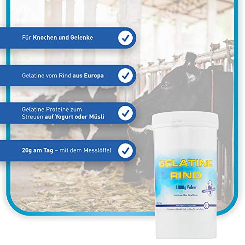 Pharma-Peter GELATINE Rind Pulver, mit 100% hochwertigem Eiweiß, 1000 g