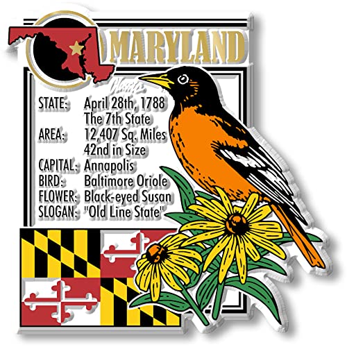 Imán decorativo Maryland State Montage 3" x 3.3"