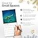 RED EMBER Sea Turtles 2026 Mini Wall Calendar 12 Month | 7