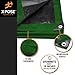 Heavy Duty Poly Tarp 12 Feet x 16 Feet 10 Mil Thick Waterproof, UV Blocking Protective Cover - Reversible Green and Black - Laminated Coating - Grommets - by Xpose Safety
