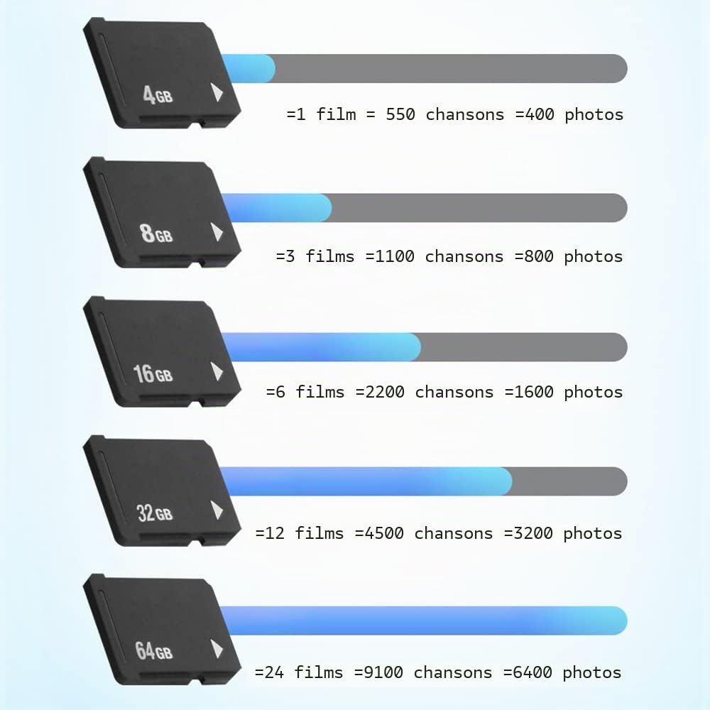 OSTENT Carte Mémoire 16 GB pour Console Sony PS Vita PSV 1000/2000 PCH-1000/PCH-2000 Console PCH-Z161