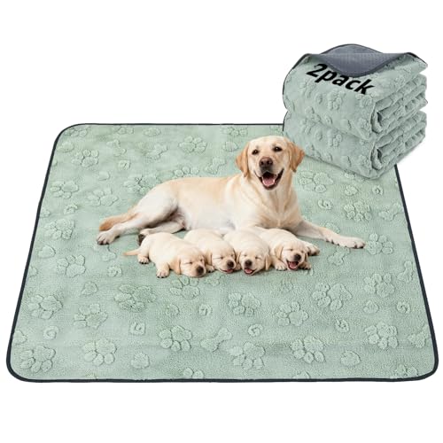 Image of LOOBANI 2 Packs Extra Large Reusable Pee Pads for Dogs, 54x54in Waterproof Washable Dog Mat, Non-Slip and Leakproof Whelping Pad for Potty Training, Playpen, Crate,Floor and Bed