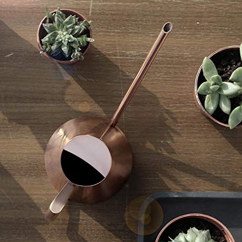 Arrosoir en Acier Inoxydable Bonsai Domestique Mini Plantes D'intérieur Brossées Arrosoir à Bec Long Arrosoir De Style Moderne Or Rose(L)