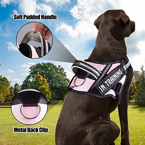 Service Dog Vest Harness And Leash Set, Animire In Training Dog Harness With 8 Dog Patches, Reflective Dog Leash With Soft Padded Handle For Small, Medium, Large, And Extra-Large Dogs(Pink,L) #TOP2