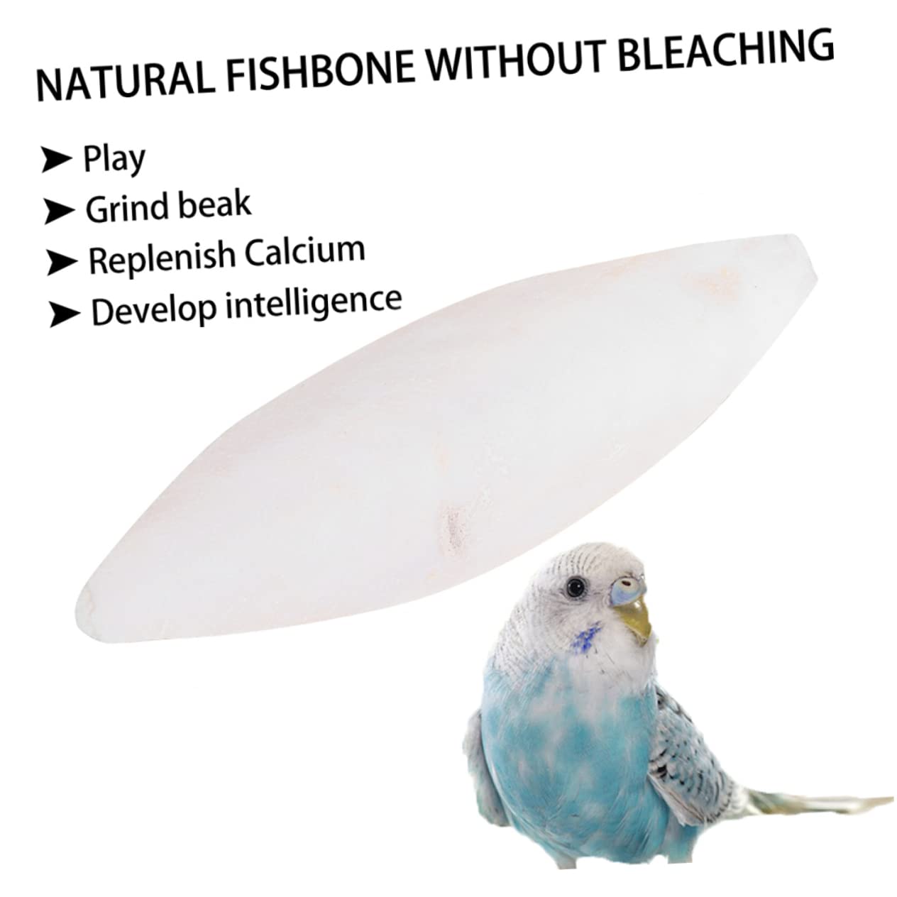 FRCOLOR 36stücke Teiliges Kauspielzeug Für Hamster Molar Und Zahnspielzeug Aus Cuttlefish-Knochen Mit Halterungen Für Kleintiere Für Zahnpflege Und Mentale