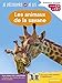 Je découvre et je lis CP et CE1 - Les animaux de la savane: Premières lectures, premières découvertes