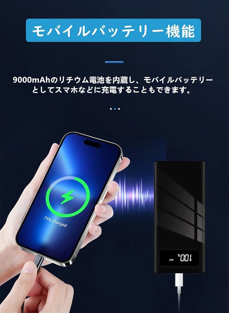 Amazon.co.jp: F30 盗聴妨害機 盗聴妨害器 盗聴対策 盗聴防止 2