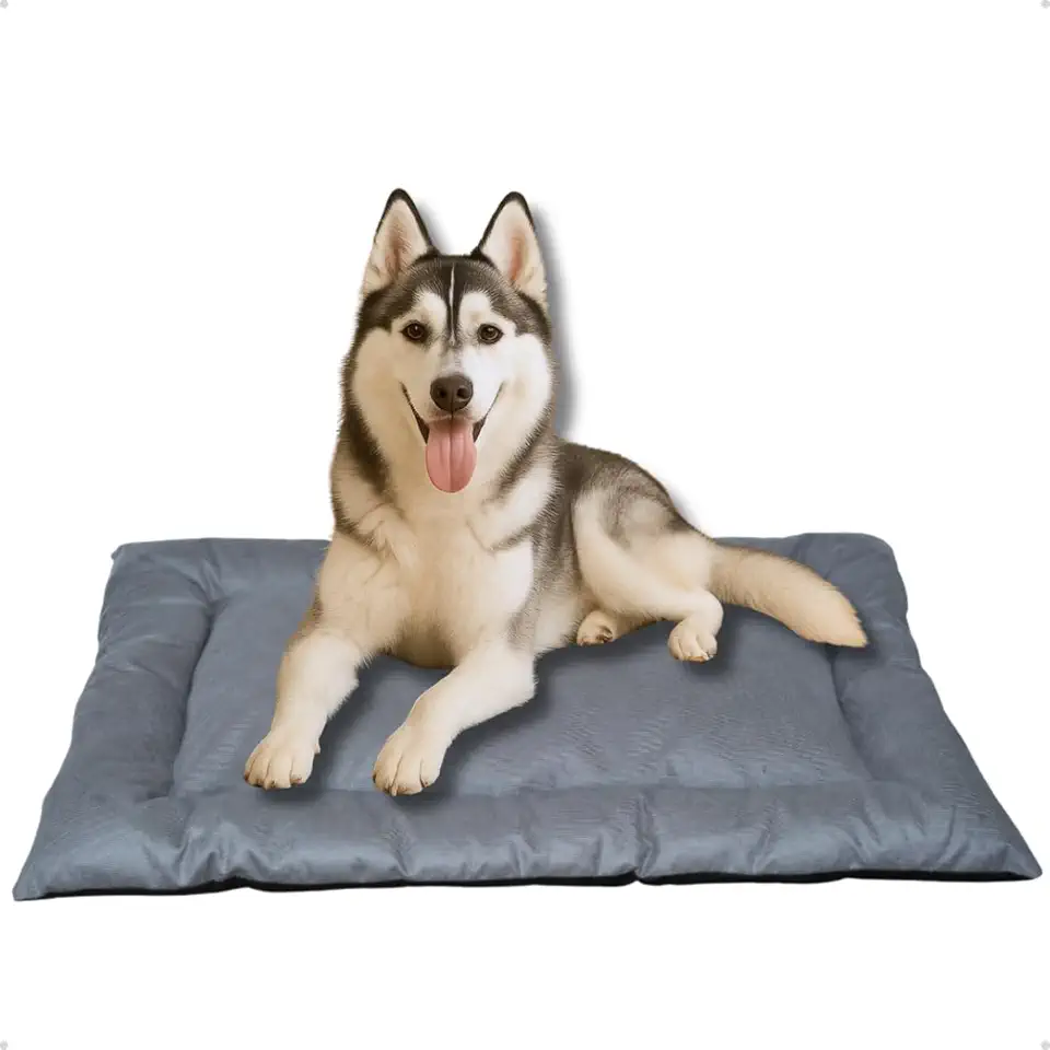 Cama Caminha Colchonete Cinza Grande 100x70cm para Cachorro e Gato de Suede Lavável Almofada Pet Macia Confortável