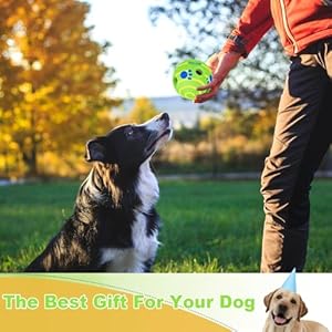 Interactive-Dog-Ball-Large-Dog-Ball-Toy-Interactive-Dog-Toy-for-SmallMediumLarge-Dogs-Herding-Ball-for-Dogs-with-Fun-Giggling-Sounds-When-Rolled-or-Shaken-Perfect-Dog-Gift-591-inch - Cucciolini Doodles   Interactive-Dog-Ball-Large-Dog-Ball-Toy-Interactive-Dog-Toy-for-SmallMediumLarge-Dogs-Herding-Ball-for-Dogs-with-Fun-Giggling-Sounds-When-Rolled-or-Shaken-Perfect-Dog-Gift-591-inch