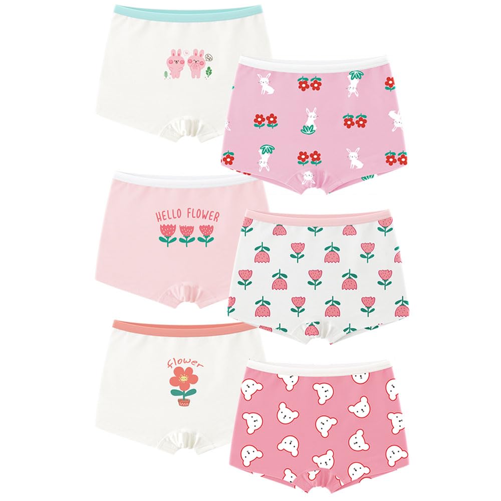Allmeingeld Girls' Knickers Assorted Cartoon Pattern Colorful Girls Hipster 6 Pack 2-13 Years