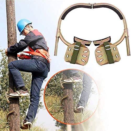 Baum Steigeisen Test, Kauf & Vergleich (06/23) OUTDOORMEISTER