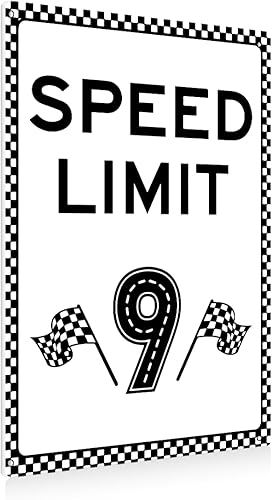 Vista 9 de Letrero de límite de velocidad 1, decoración de cumpleaños de auto de carreras, decoración de fiesta de cumpleaños de coche de carreras, 8 x 12