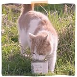 MjAMjAM – Premium Nassfutter für Katzen - natürlich lecker – Bio Hühnchen, 6er Pack (6 x 800g), getreidefrei mit extra viel Fleisch