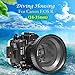 Seafrogs Underwater Housing for Canon EOS R Professional Diving Waterproof Case for Canon EOSR+24-105mm/ 16-35mm/ 24-70mm Lens for Underwater Photography Videography