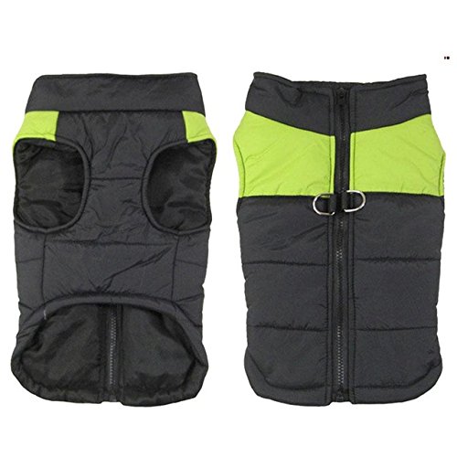 Buy Green, XXL Dog Clothes for Small Dogs Winter Puppy Chihuahua Pet