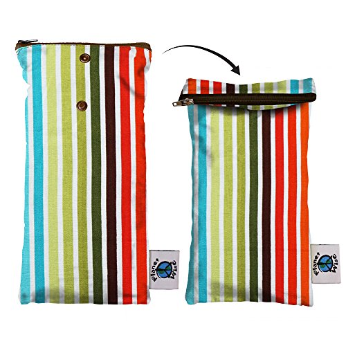 Planet Wise Wipe Pouch, Earth Stripe