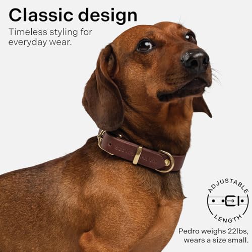 Image of Classic Genuine Leather Dog Collar | Dog Collars for Medium Dogs, Small Dogs, Large Dogs & Extra Large Dog | Wide Dog Collar | Heavy Duty Collar | Dark Brown (XL: 1.2 inch Wide for 18.5 inch-21 inch Neck)