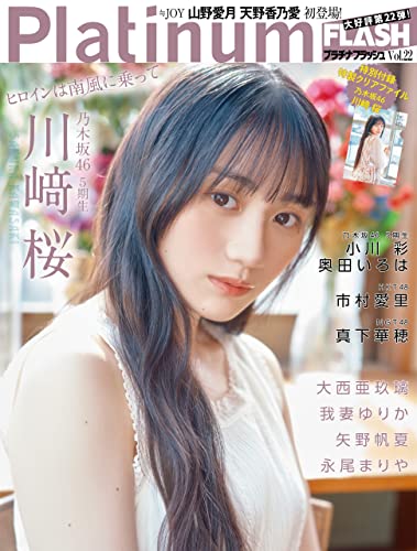 Platinum FLASH Vol.22 [雑誌]