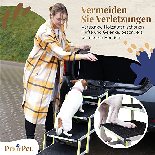 Hundetreppe Auto Klappbar - Hundetreppe Große Hunde - Leuchtende Leitmarkierung - Gelenkschonende Einstiegshilfe Auto Hund - Hundeleiter Faltbar mit Anti-rutsch Einsatz - 77kg Tragkraft - 4 Stufen