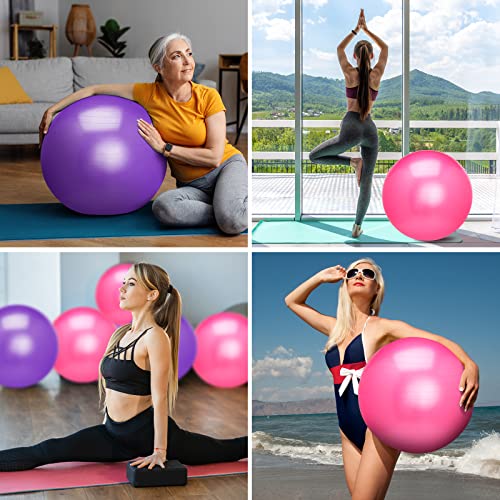Deekin 6 Pcs 25 Inch Large Exercise Ball Bulk 65 Cm Pilates Yoga Ball Stability Ball Office Chair Stretching Ball For Balance Gym Fitness Workout Core Training Home Pregnancy Physical Therapy #TOP6