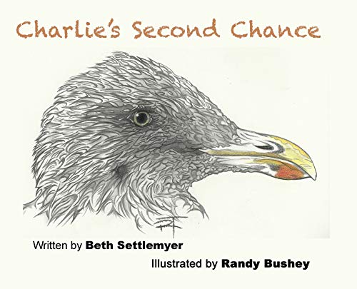 Charlie's Second Chance