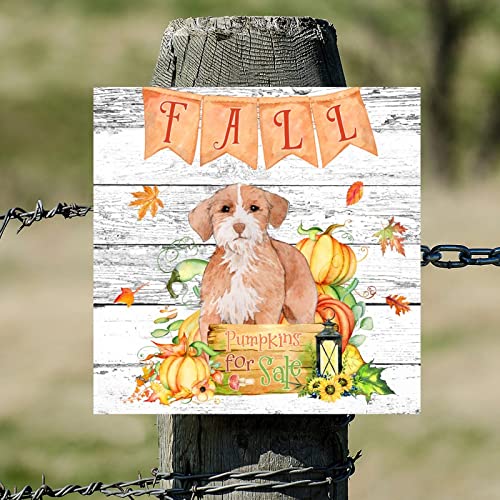 Plaque bois automne chien Pointer pour sublimer votre intérieur - 5