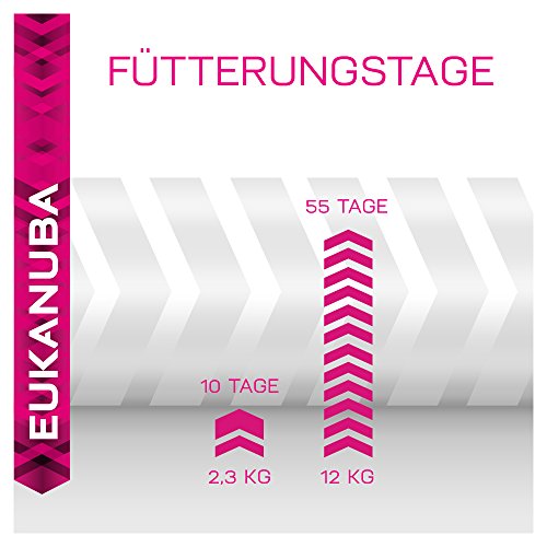 Eukanuba Daily Care, Hundefutter für Hunde mit sensibler Haut, Trockenfutter mit Fisch und Huhn (1 x 2,3 kg)