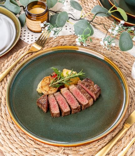 Image of GBHOME Dinnerware Sets for 8, 24 Pieces Stoneware Plates and Bowls Sets, Scratch Resistant Dishes, Dishwasher & Microwave Safe, Reactive Glaze