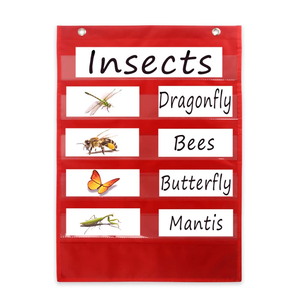 Standard Pocket Chart